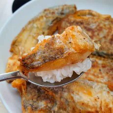 동해참치1마리