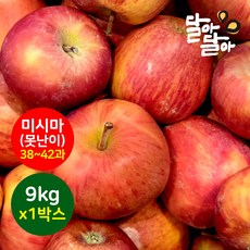 달아달아 못난이사과 미시마 부사 9kg (38-42과) 1박스, 단품