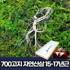 지종산삼
