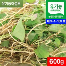 생어성초