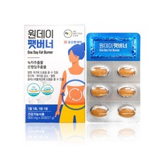 원데이팻버너