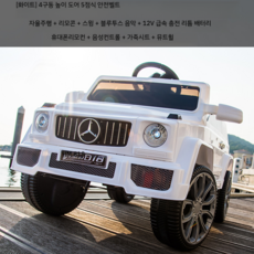 그린전기자동차기사책추천