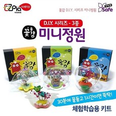 화분하나로미니정원만들기