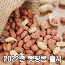 22년산 햇땅콩 여주특산물 고소한 생땅콩 볶음땅콩 1kg, 1. 생땅콩 1kg