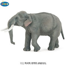 파포코끼리