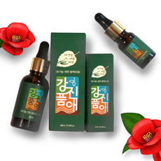 동백오일효능