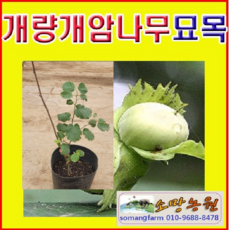 bd53b1b5dc1f33101911099316b8c9eab402aacbccac81b13bdaae1ebe8f.png