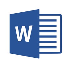 마이크로소프트 Word 2019 CSP 라이선스 영구 사용