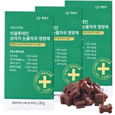 비숑눈물자국
