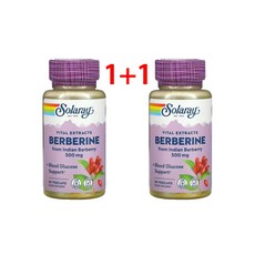 1+1 솔라레이 베르베린 500mg 베지 캡슐 60정 2통 고약사 AMPK, 2개