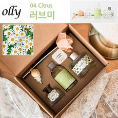 에스포 올리 플라워 디퓨져 선물세트 시트러스 (러브미)