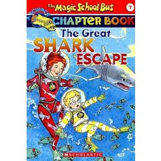 중고샤크안테나