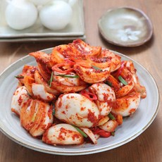 해남화원농협 이맑은 양파김치 5kg
