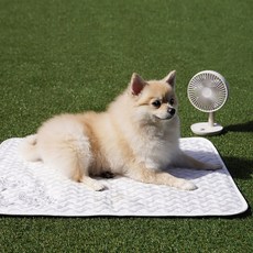 [본사직영] 커블 듀라론 댕냥이 쿨매트 / 강아지 쿨매트