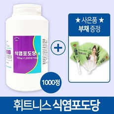 휘트니스 식염포도당 1000정+부채 증정, 1개
