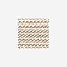 브라운아이드소울lp TOP01