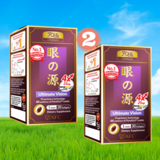 빌베리 루테인 효능 영양제 눈 건강 수험생 노안 125mg 30정 2병 60일분 일본 내수, 2개, 60정