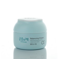 궁중비책발진