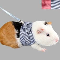 [알티피아] 줄무늬 소동물 하네스 햄스터 토끼 리드줄 가슴줄, 상세 설명 참조, 1개