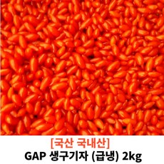 [국내산/국산] 주홍빛 GAP 생구기자 2kg 급냉구기자 세척후 급냉한 냉동구기자 혈당관리 생 구기자 구기자 열매, 1개