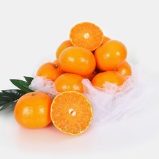 86aba9601dd91637431c40f583a444e4e02c647dc7a94b3cea0d0daeeda1.jpg