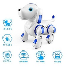 애완로봇한국어