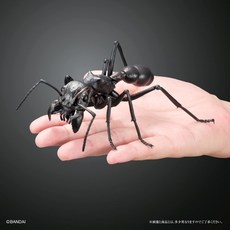 반다이 이키모노 다이즈칸 생물대도감 개미 캡슐토이 3종세트