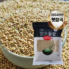 [대숲맑은물애] 24년산 웰빙푸드 찹쌀현미 1kg-5kg, 1kg, 1개