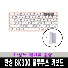 한성bk300