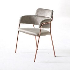  GC301 그레이 벨벳 디자인 암체어 인테리어의자 의자 서재 사무용가구 가구 GC301 그레이 벨벳 디자인 암체어-72394EA tha*977aT, 단품, 본상품선택 