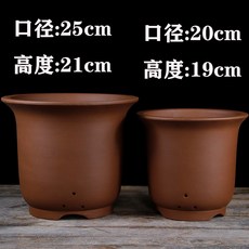 호른 퍼플샌드 난초화분 동근포트 군자란 라지스몰사이즈 전용 스킨답서스 녹색식물 다육 심플, C01-컬러/크기/수량 이상 파티 사진 표준, T29-갈색 높은 황금 시계 슈퍼빅 입구직경