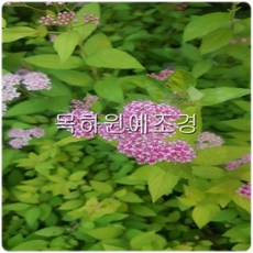 b8674fc4a0e226f553becff6cd6961d0a009ed888530d4651f5bd595d111.jpg