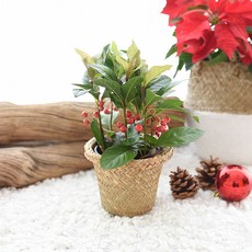 918bab210d1c1907a727cc19ccad4312fb108031c180e40b0b0d836fda4f.jpg