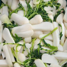강원도 고랭지 절임 알타리 총각무 초롱무 절인 초롱무 초록무, 10kg, 1개