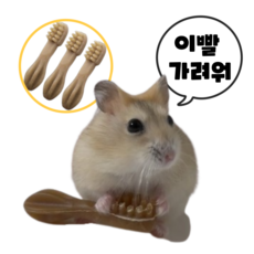 (best상품) 햄스터 이갈이 덴탈츄 비건 간식 인기만점!! 옐로우, 3개 3개