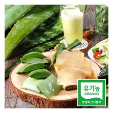 늘솜 유기농 알로에 생알로에 베라 일반 3kg