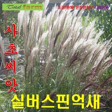 dceba2bd250e148b2c9afe7540381ab8d1e579235ad527d9c928eee0c35c.png