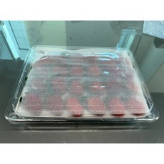 추천4 딸기난좌포장