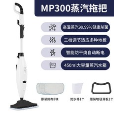 네오플램스팀청소기