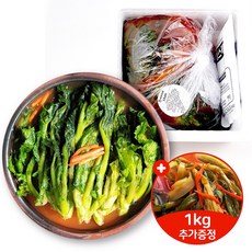 아삭 시원 국내산 여수 돌산 갓 물김치 2.5kg +1kg 증정!, 1개