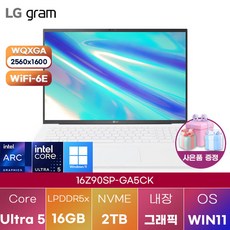 LG 그램 프로16 16Z90SP-GA5CK 울트라5 윈도우11 신제품 대학생 인강용 업무용 사무용 포토샵 영상편집 고성능 가성비 노트북, 에센스 화이트, 2TB, 16GB, WIN11 Home