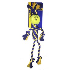 바람펫피트니스프로