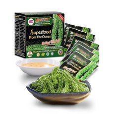 아마존 베스트셀러 판매1위 바다포도 1box(개별포장20g x 6ea) 베트남 LONGEVITY Sea Grapes 우미부도 green caviar, 20g, 6개