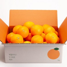 깨비농원 고당도 황금향 4.5kg, 1box, 황금향 4.5kg 소과