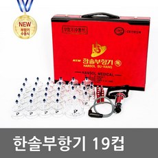 한솔부항기19개