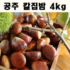 공주사곡 공주사곡농협칼집밤 4kg 칼집밤, 단일상품