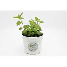 집에서키우는자연학습