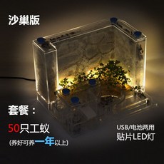 개미집 개미 공방 성 장원 별장 농장 관찰 케이스매우 빅사이즈 포장 2020, T02-B11-리본끈 램프(50개 작업자 개미)1년 인상