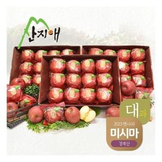 [산지애]씻어나온 미시마 사과 9kg 24~36과 (3kg*3박스 대과)