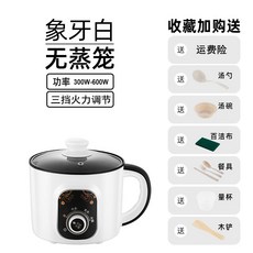 슬로우쿠커기계식